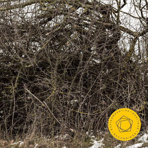 优酸乳成人字幕在线观看
